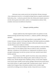 Rentgeno spinduliai. Rentgeno spindulių taikymas praktikoje 3 puslapis