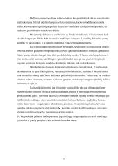 Rentgeno spinduliai. Rentgeno spindulių taikymas praktikoje 7 puslapis