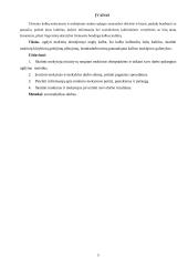 Anglų kalbos olimpiadų užduotys 5, 7 ir 10 klasėms 3 puslapis