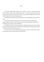 Restruktūrizavimo samprata ir etapai