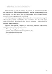 Restruktūrizavimo samprata ir etapai 11 puslapis