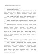 Restruktūrizavimo samprata ir etapai 6 puslapis