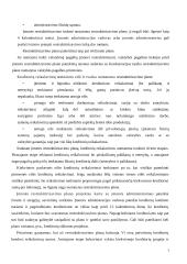 Restruktūrizavimo samprata ir etapai 7 puslapis