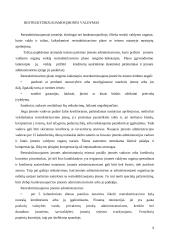 Restruktūrizavimo samprata ir etapai 9 puslapis