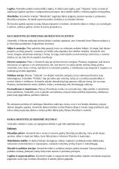 Filosofas Aristotelis 2 puslapis