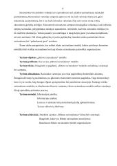 Riboto racionalumo modelis 4 puslapis