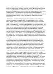 Esė apie savanoriavimą 2 puslapis