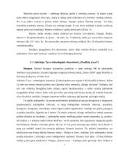 Rietavo miestelio ir jo  apylinkių įvertinimas ekologiniu aspektu 7 puslapis