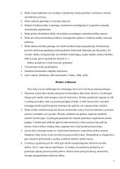 Rinkos samprata ir funkcijos 6 puslapis