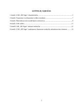 Apskaitos procesų automatizavimo sprendimai 2 puslapis