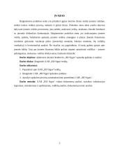 Apskaitos procesų automatizavimo sprendimai 3 puslapis
