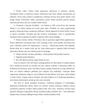 Apskaitos procesų automatizavimo sprendimai 5 puslapis