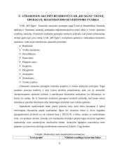 Apskaitos procesų automatizavimo sprendimai 8 puslapis