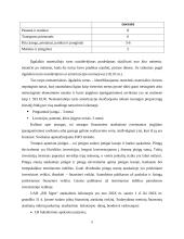 Apskaitos procesų automatizavimo sprendimai 9 puslapis