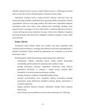 Rinka ir jos formavimosi problemos Lietuvoje 13 puslapis