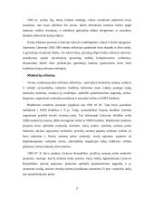 Rinka ir jos formavimosi problemos Lietuvoje 16 puslapis