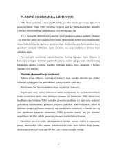 Rinka ir jos formavimosi problemos Lietuvoje 3 puslapis