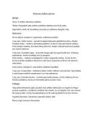 Iš antikos atkeliavę įvaizdžiai. Planas