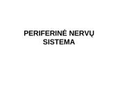 Periferinė nervų sistema