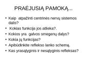 Periferinė nervų sistema 2 puslapis