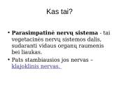 Periferinė nervų sistema 11 puslapis