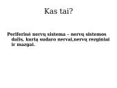 Periferinė nervų sistema 4 puslapis