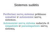 Periferinė nervų sistema 6 puslapis