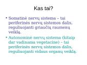 Periferinė nervų sistema 7 puslapis