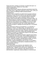 Rinka ir valstybinis reguliavimas 2 puslapis