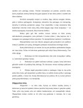 Rinka, jos struktūra, tipai, funkcijos 13 puslapis