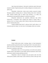 Rinka, jos struktūra, tipai, funkcijos 17 puslapis