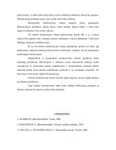 Rinka, jos struktūra, tipai, funkcijos 18 puslapis