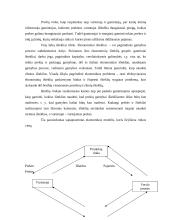 Rinka, jos struktūra, tipai, funkcijos 4 puslapis
