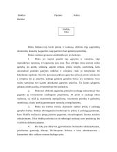 Rinka, jos struktūra, tipai, funkcijos 5 puslapis