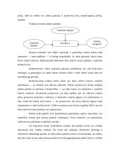 Rinka, jos struktūra, tipai, funkcijos 7 puslapis