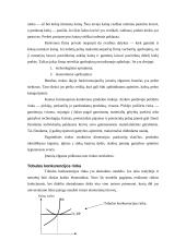 Rinka, jos struktūra, tipai, funkcijos 8 puslapis