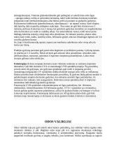 Atopinis dermatitas (referatas) 11 puslapis