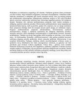 Atopinis dermatitas (referatas) 13 puslapis