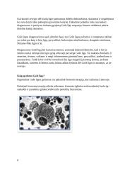 Itin retos paveldimos ligos 7 puslapis