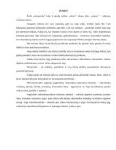 Rinka, monopolijos kainodara 2 puslapis