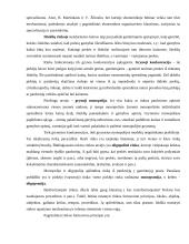 Rinka, monopolijos kainodara 4 puslapis