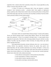 Rinka, monopolijos kainodara 6 puslapis