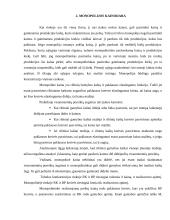 Rinka, monopolijos kainodara 8 puslapis