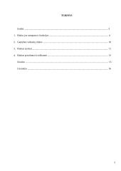 Rinka: samprata, funkcijos, privalumai bei trūkumai 2 puslapis