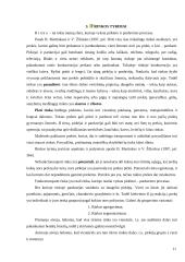 Rinka: samprata, funkcijos, privalumai bei trūkumai 11 puslapis