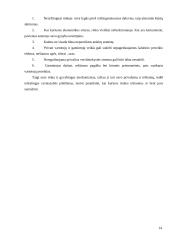 Rinka: samprata, funkcijos, privalumai bei trūkumai 14 puslapis