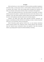 Rinka: samprata, funkcijos, privalumai bei trūkumai 15 puslapis