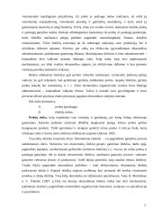 Rinka: samprata, funkcijos, privalumai bei trūkumai 5 puslapis