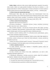 Rinka: samprata, funkcijos, privalumai bei trūkumai 6 puslapis