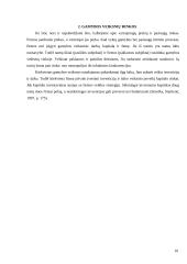 Rinka: samprata, funkcijos, privalumai bei trūkumai 10 puslapis